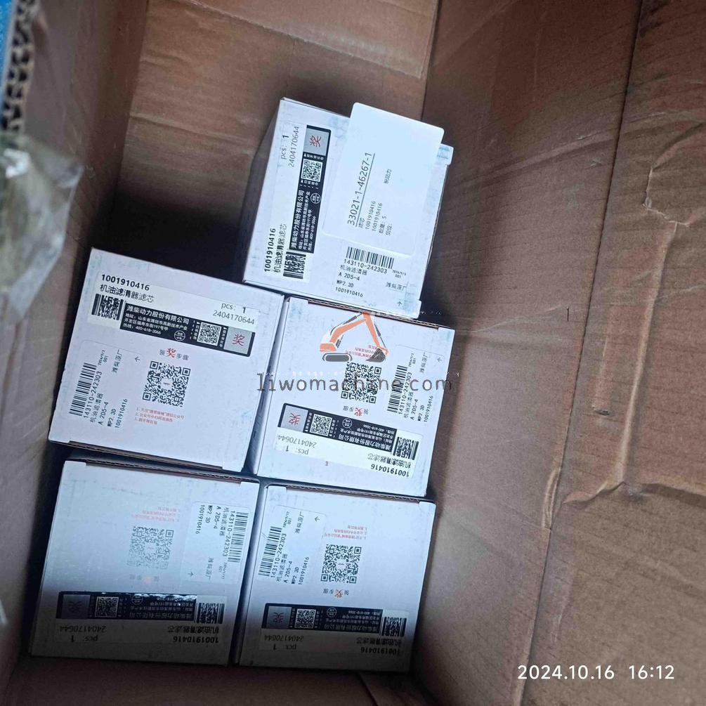 XCMG 1001910416 滤芯 - Professional Construction Machinery Parts