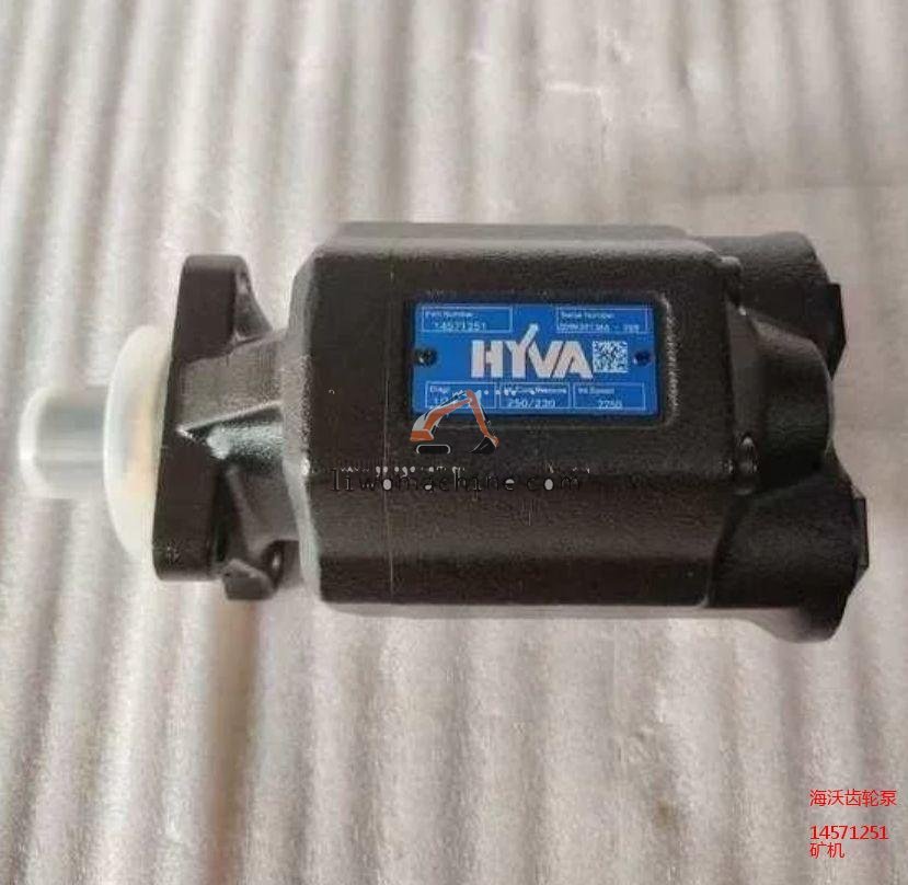XCMG 14571251 海沃齿轮泵 - Professional Construction Machinery Parts