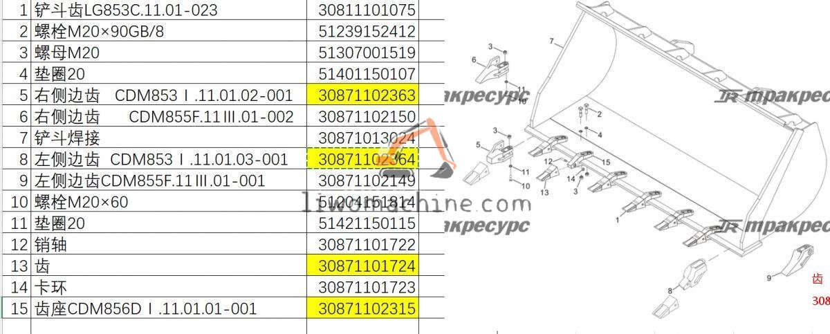 XCMG 30871101724 齿 - Professional Construction Machinery Parts
