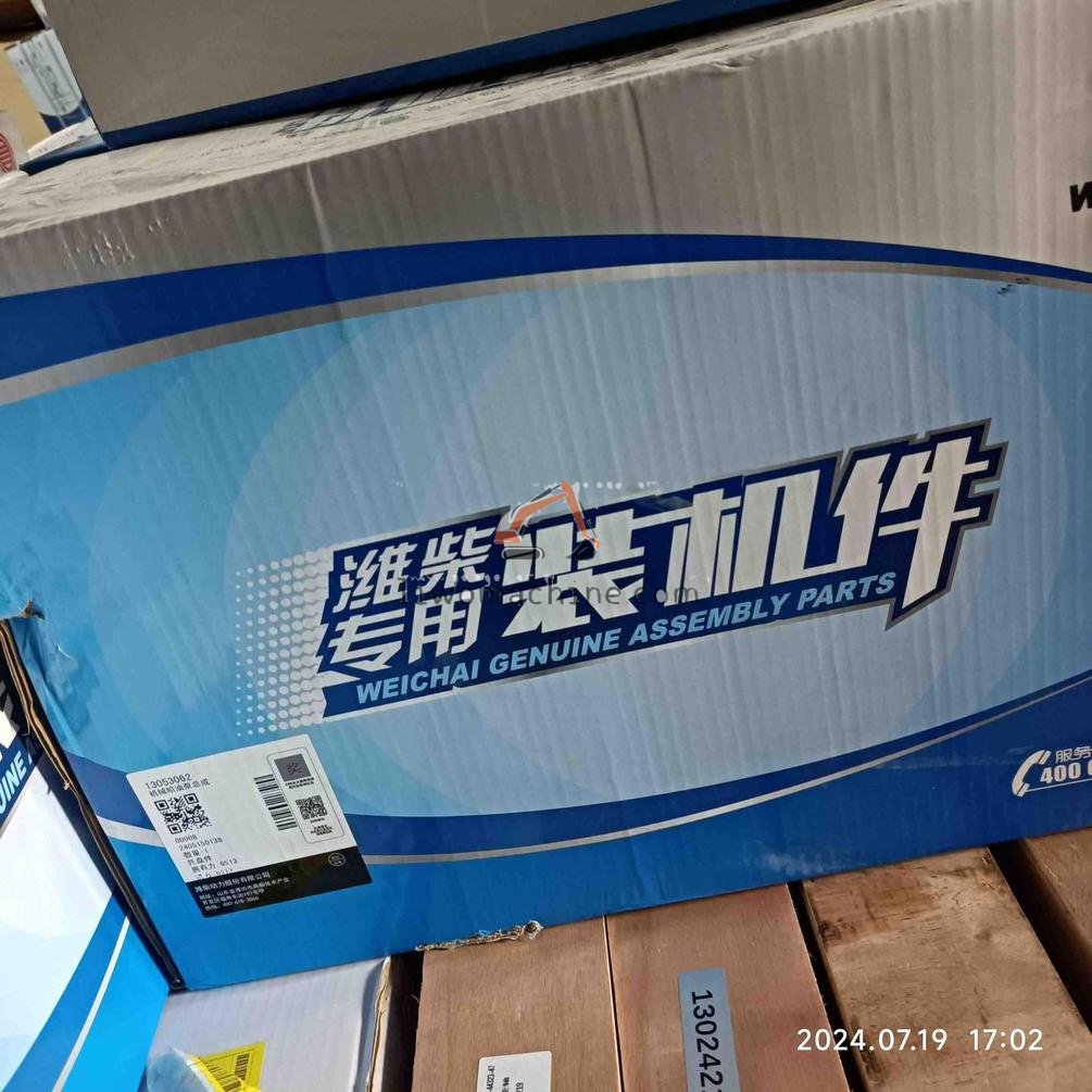 XCMG 4110001031004 喷油泵分总成 - Professional Construction Machinery Parts
