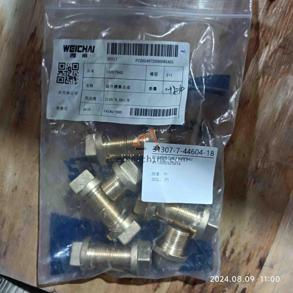 XCMG 4110002925014 磁性螺塞总成13057942 - Professional Construction Machinery Parts