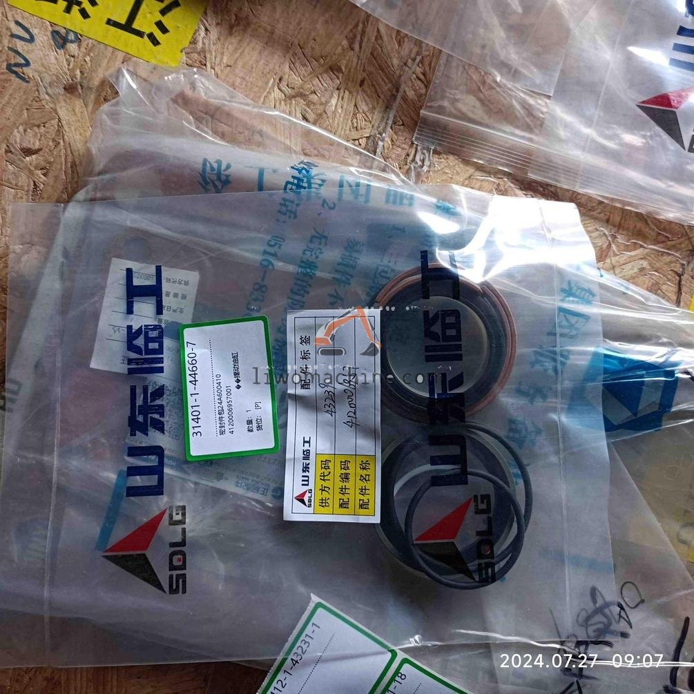 XCMG 4120006957001 密封件包24A600410 - Professional Construction Machinery Parts
