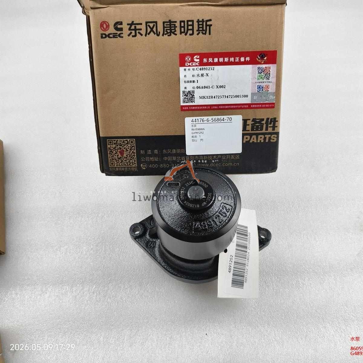 XCMG 860590806 水泵 - Professional Construction Machinery Parts