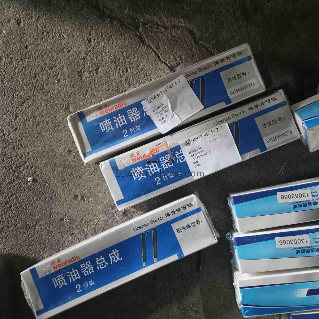 XCMG W47004341 喷油器总成 - Professional Construction Machinery Parts
